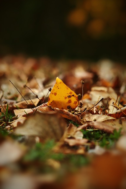 每一个运动 每一个运动