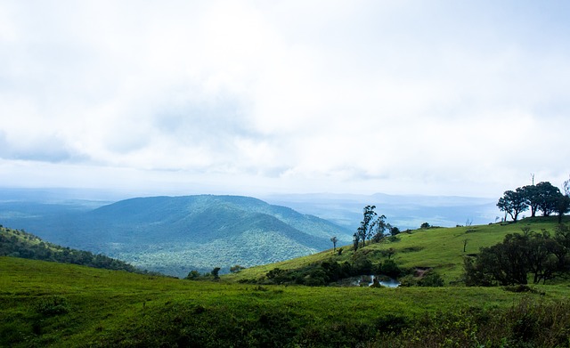 然而现实情 然而现实情