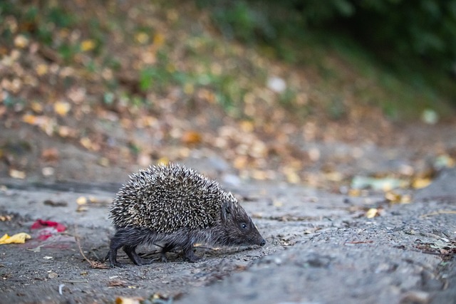 每一个动向 每一个动向